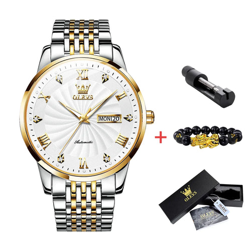 OLEVS Luxury Watch Men Automatic Mechanical Business Male Watch